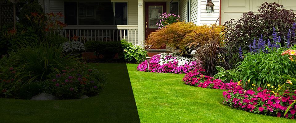 Roanoke Landscapers
