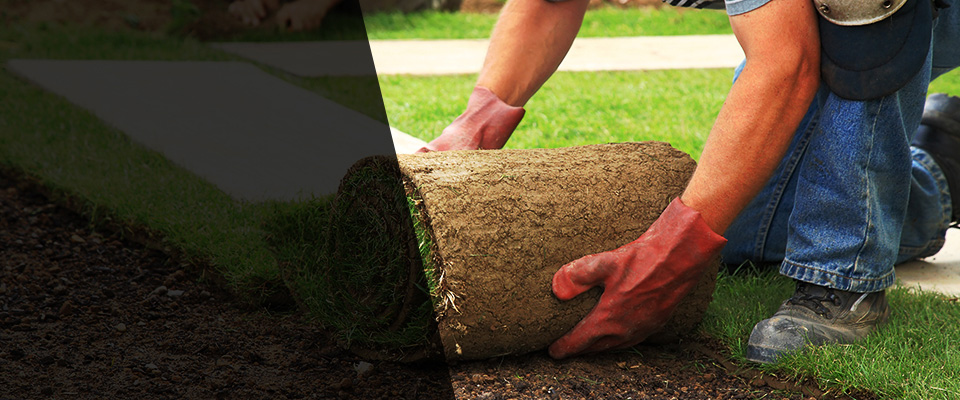 Roanoke Landscapers